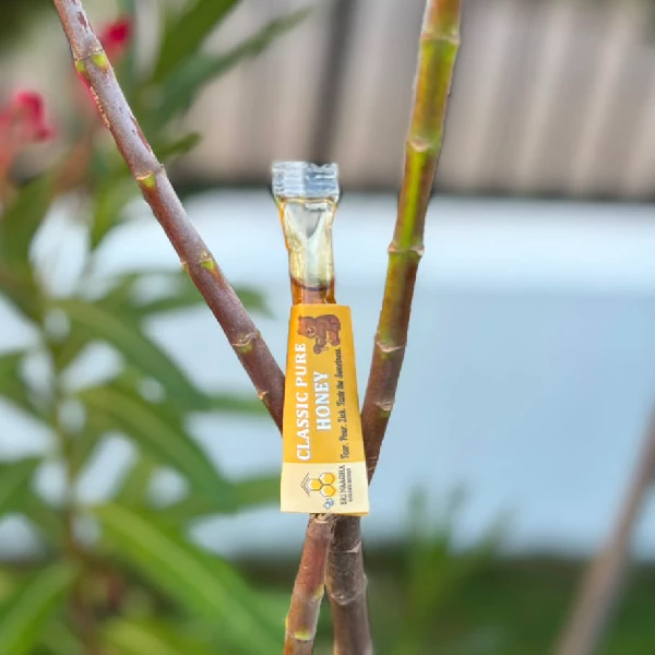 Classic Honey (40x5gms ) - Image 5