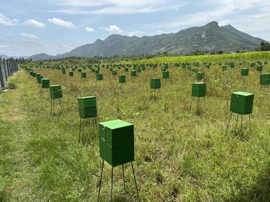 Best Pure Honey Blog