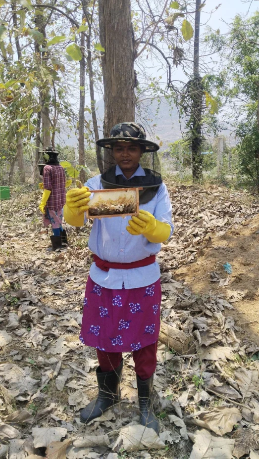 forest honey
